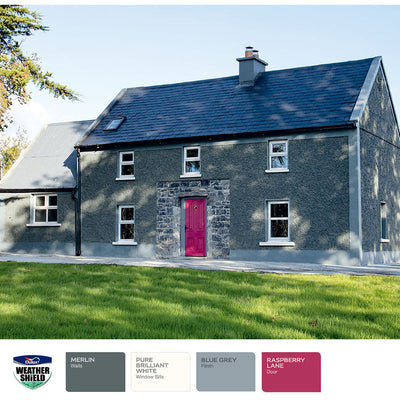 Dulux Weathershield Brilliant White 11L Dulux Weathershield Brilliant White 11L