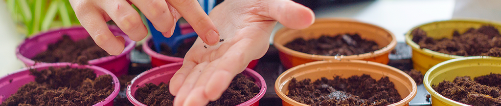 Create Your Own Vegetable Patch