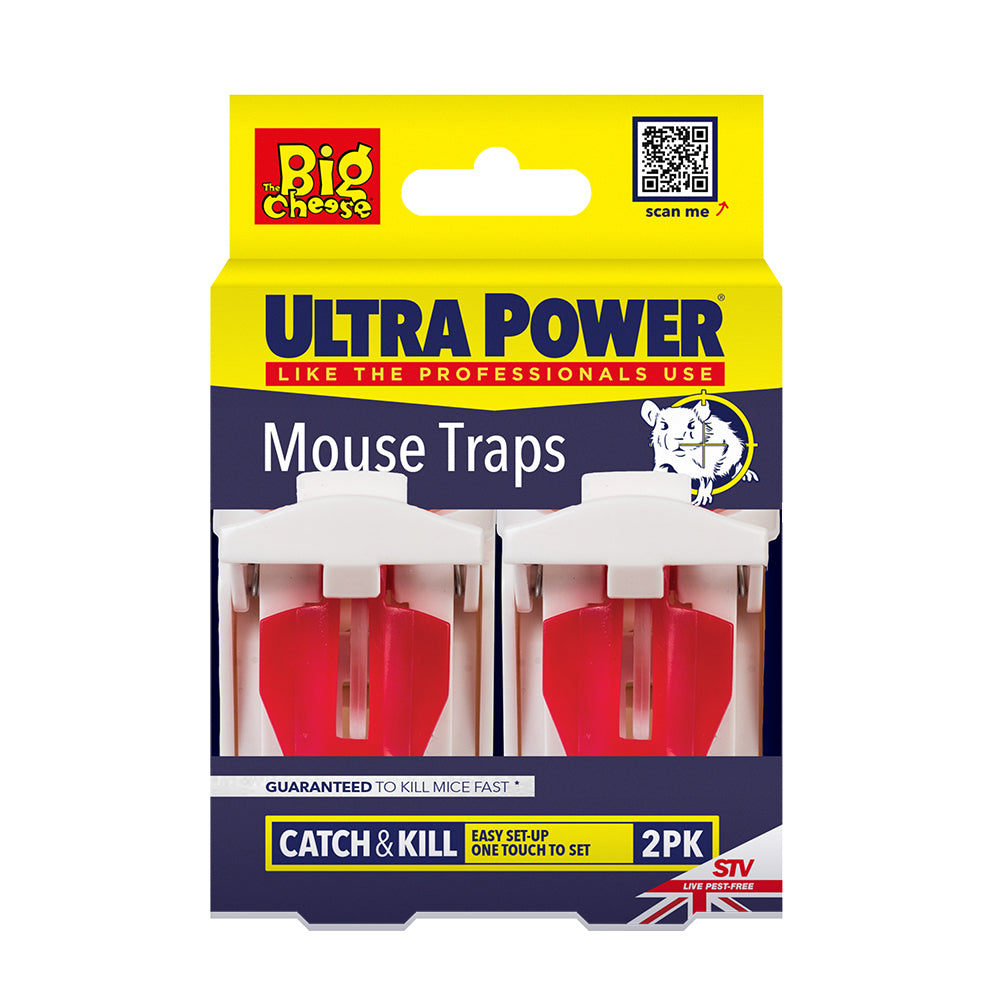 BIG CHEESE MOUSE TRAP ULTRA POWER 2 PACK