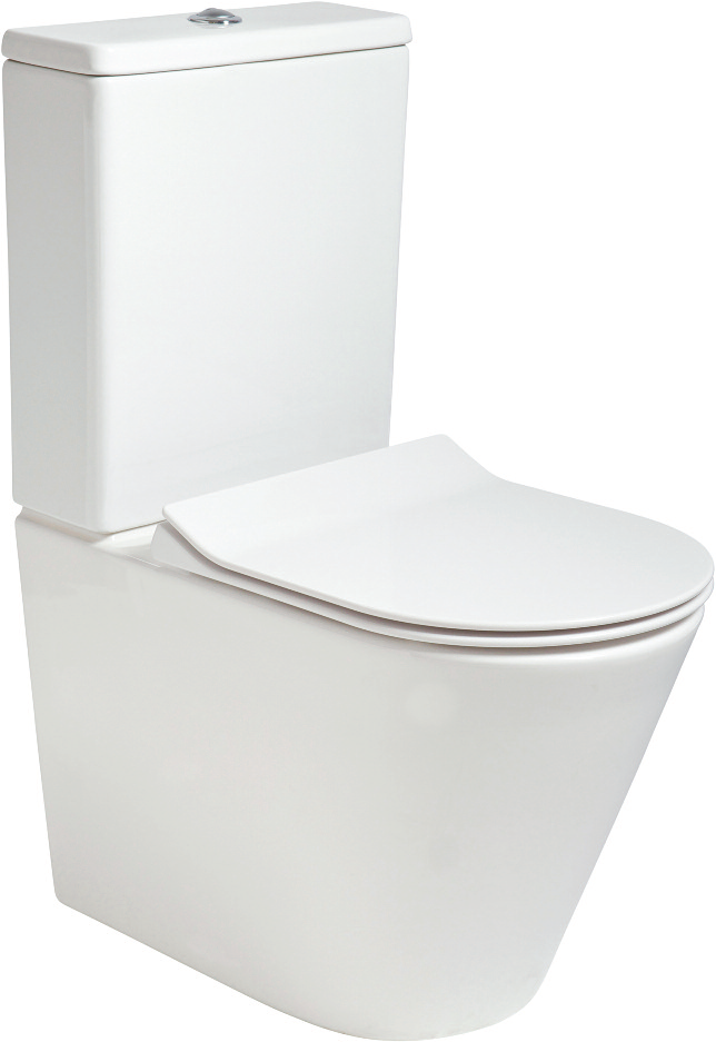 Reflections Fully Shrouded Rimless WC Pa