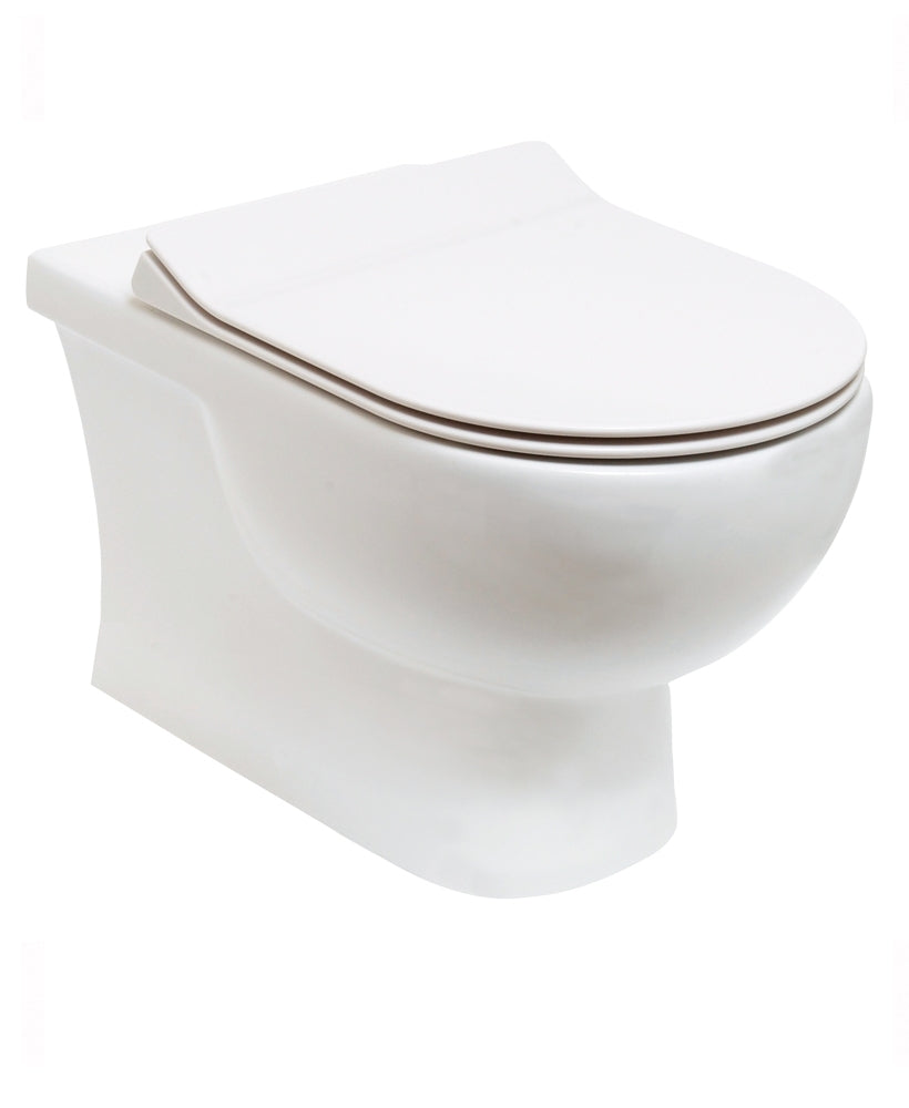 Sigma Rimless Wall Hung WC & Delta Slim