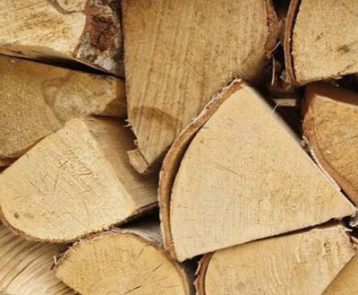 FIREWOOD BIRCH KILN DRIED LOG NET BAG 40L
